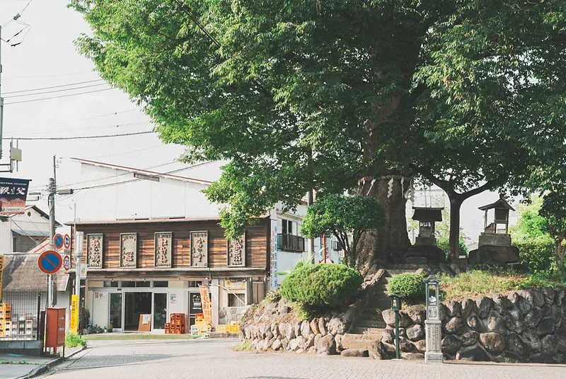 その他の写真の写真11