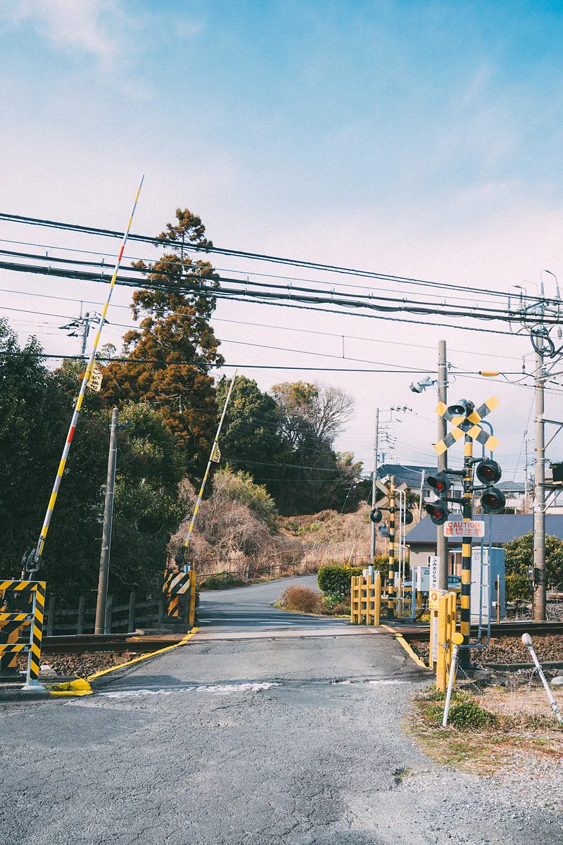 その他の写真の写真6